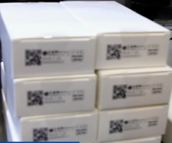 Cartoner for Blister Packs